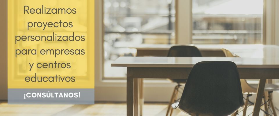 proyectos personalizados para empresas y colegios